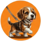 PaseoTuPerro
